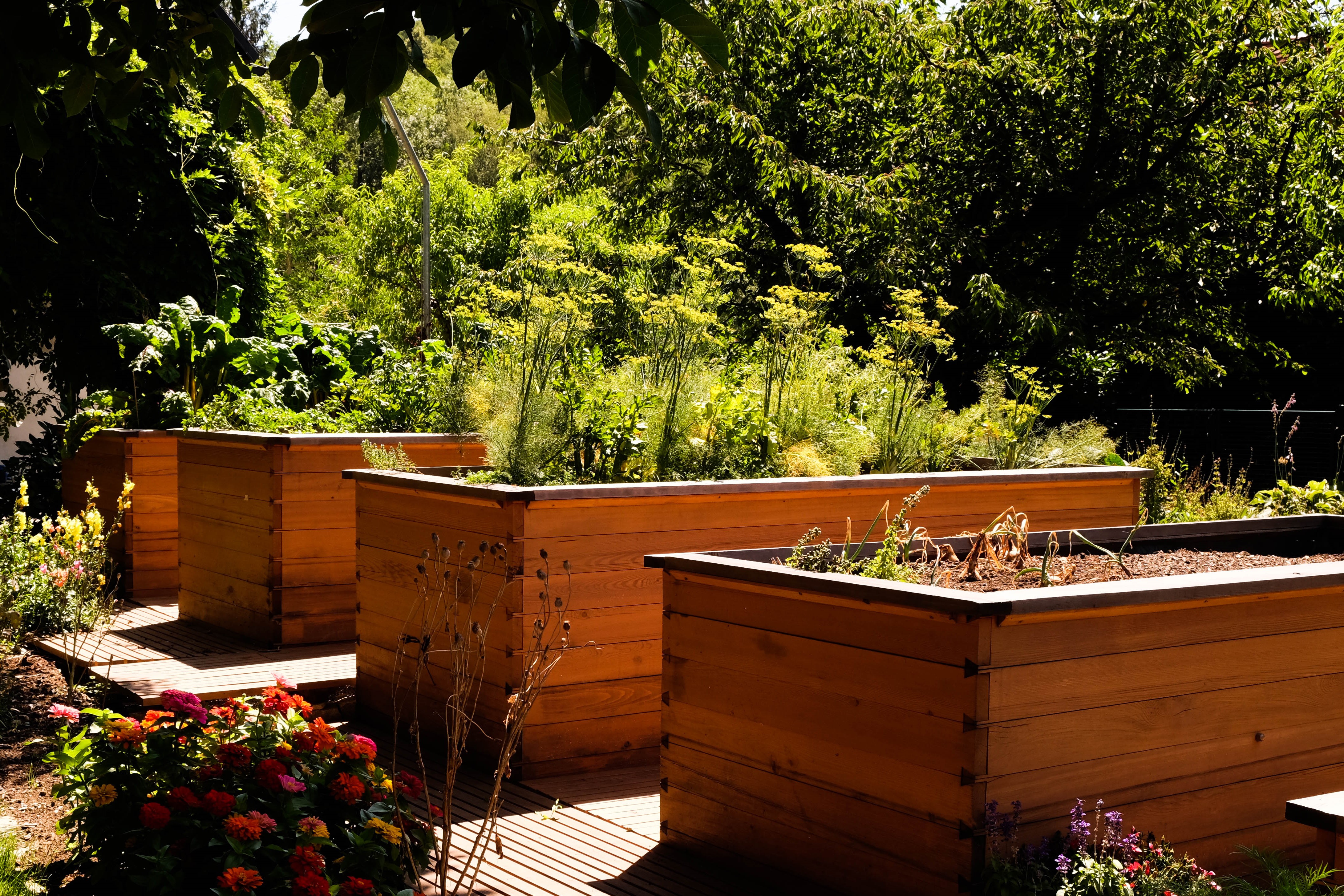 Hochbeete - Gartengestaltung und -Pflege Kammerhofer